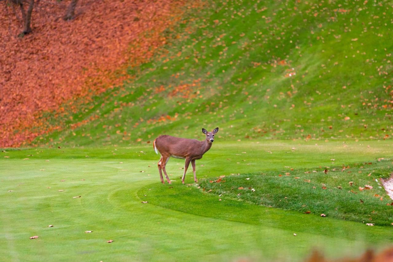 Crown Resorts At Wolf Run 두보이스 외부 사진